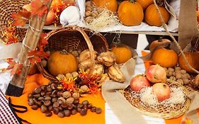 Ght Oasis Tossa & Spa